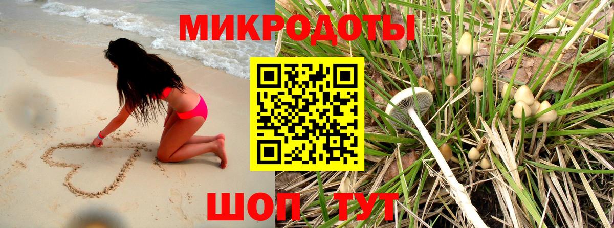 Псилоцибиновые грибы ЛСД Горно-Алтайск