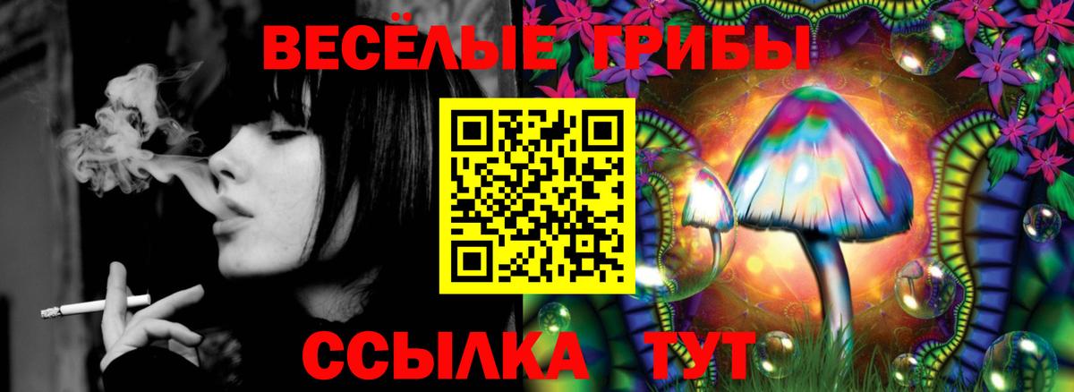 Галлюциногенные грибы GOLDEN TEACHER  Вход с VPN  Горно-Алтайск 